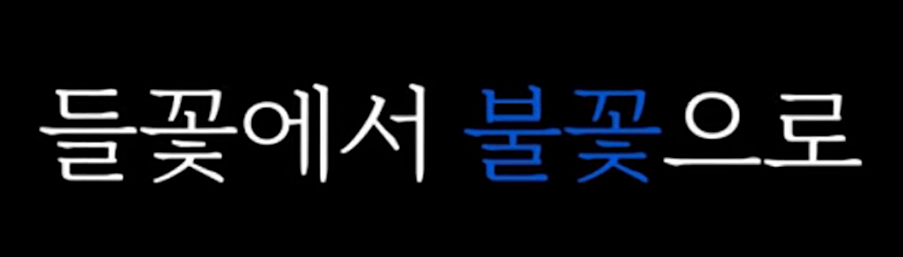 장시원PD 불꽃야구 론칭