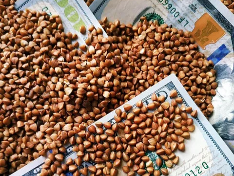 나쁠 콜레스테롤을 낮추는 메밀차