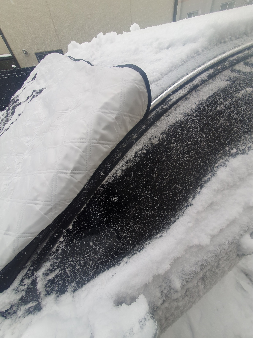 차량_앞유리에_커버를_씌운_모습4