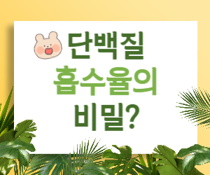 뇌 건강 지키는 단백질 흡수율 높이는 법 (feat. 생활 습관 개선)