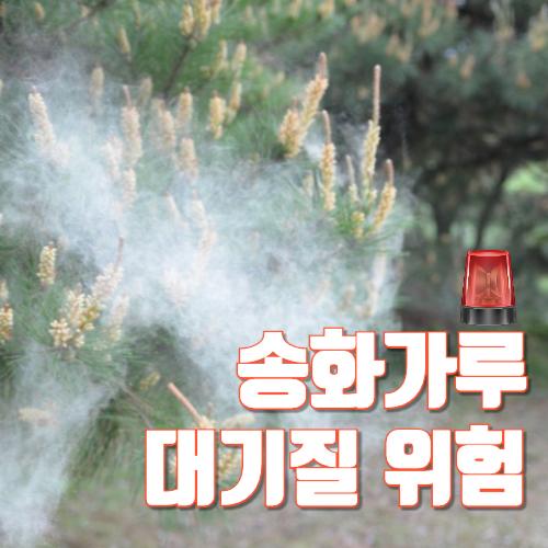 송화가루 날리는 시기, 환기방법, 공기청정기 추천