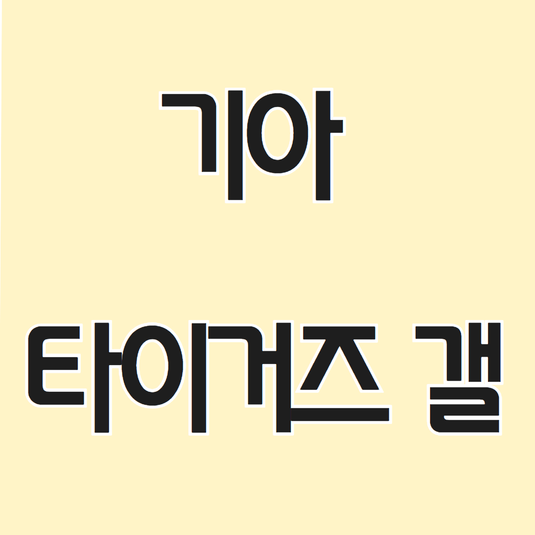 기아타이거즈 갤