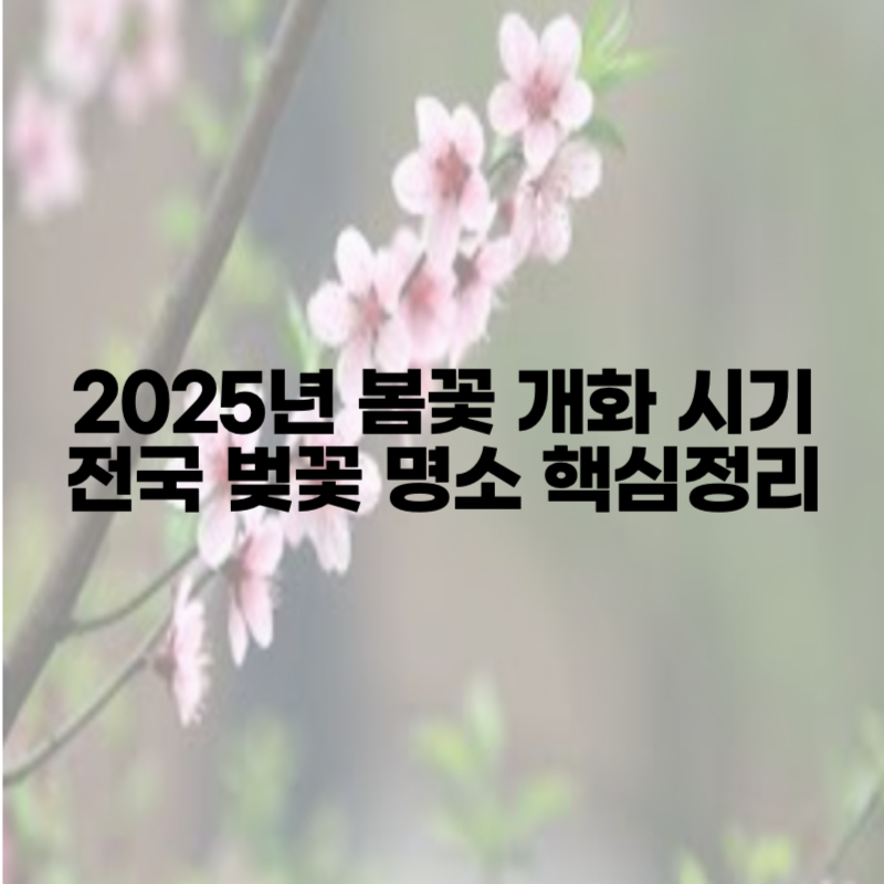 2025년 봄꽃 개화 시기 및 전국 벚꽃 명소 핵심정리