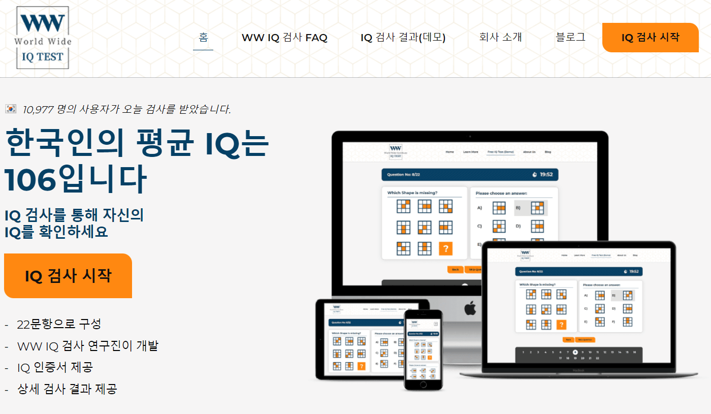 무료 아이큐테스트 - 월드와이드 IQ TEST