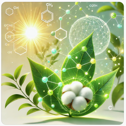살아있는 에너지원, 셀룰로오스의 비밀
