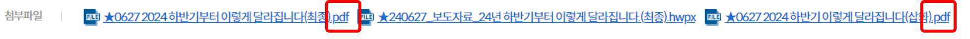 PDF 양식으로 된 정부 지원 내용 및 파일이 보이는 모습