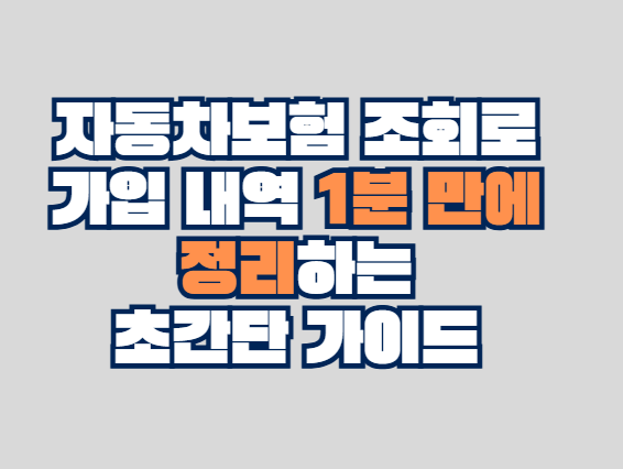 자동차보험 조회