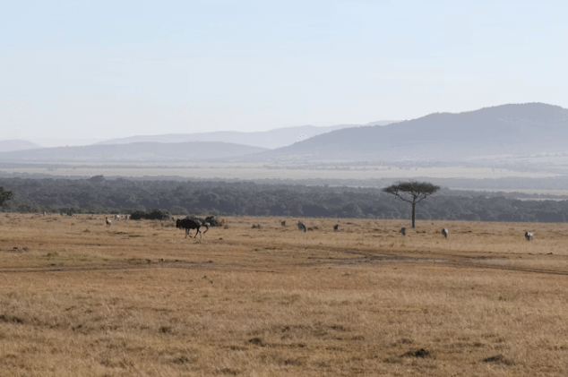 케냐간세끼 따라잡기! 케냐여행 4박 5일 경비/코스