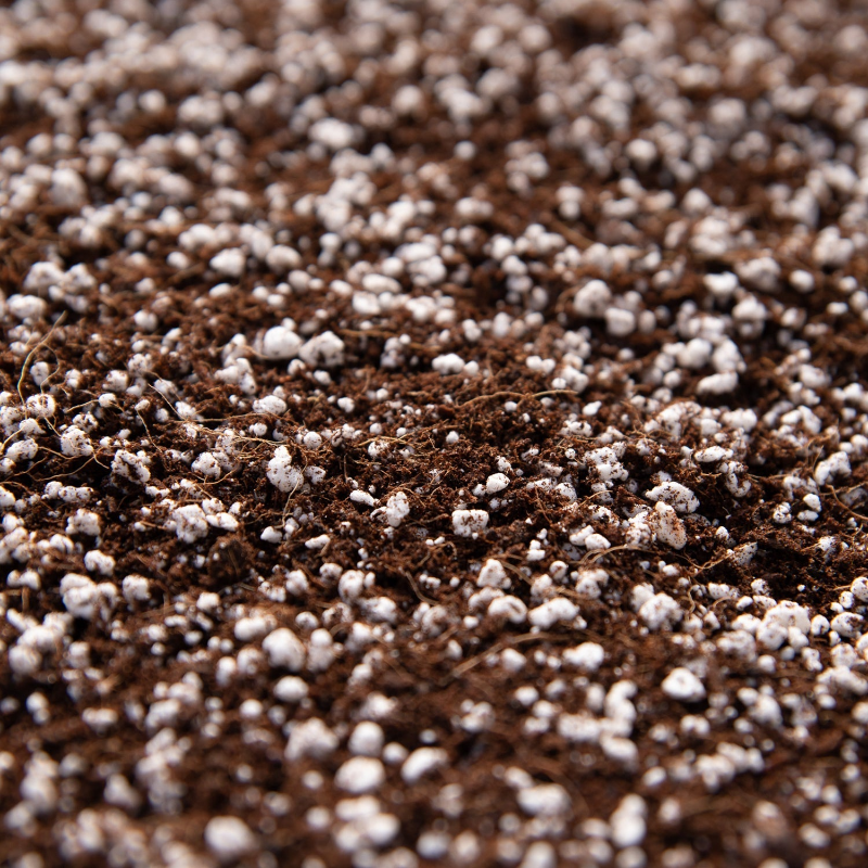 다육식물 흙 배합 핵심 재료 배양토