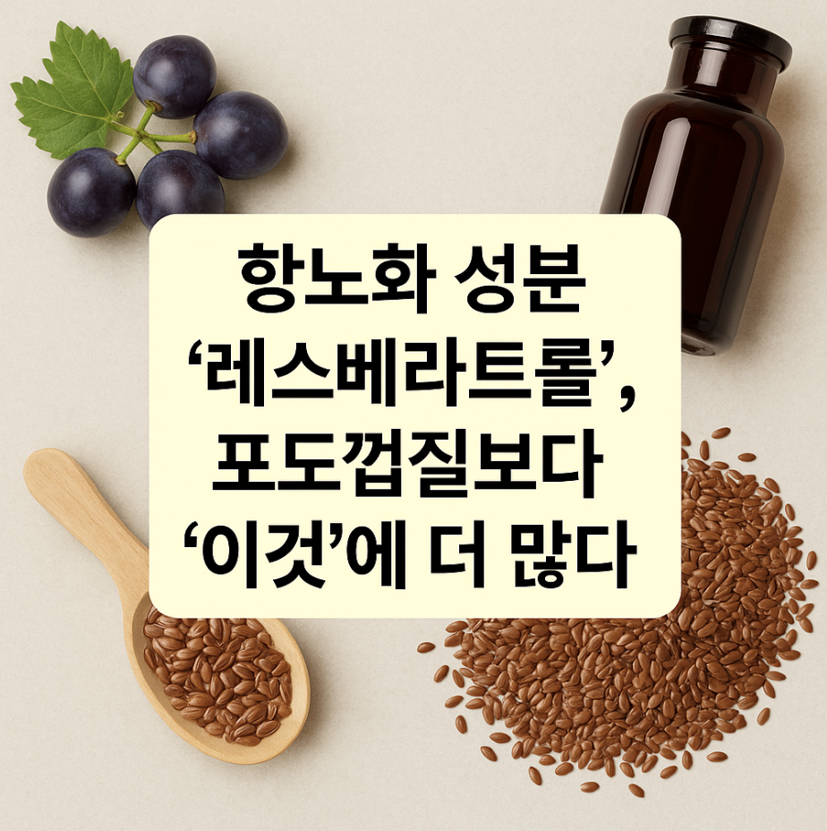 항노화 성분 '레스베라트롤', 포도껍질보다 '이것'에 더 많다