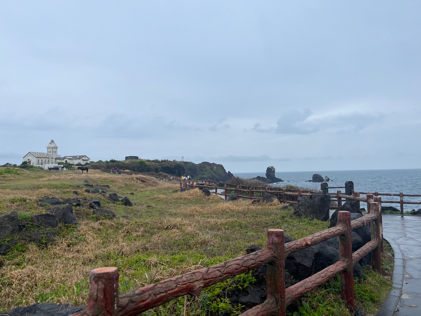 제주도 섭지코지