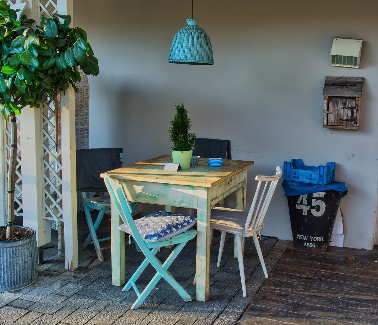 봄 인테리어에 어울리는 식물 추천! 자연을 담은 감성 공간 만들기