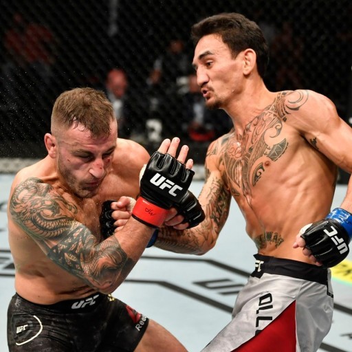 코리안좀비 할로웨이