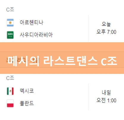 카타르 월드컵 C조