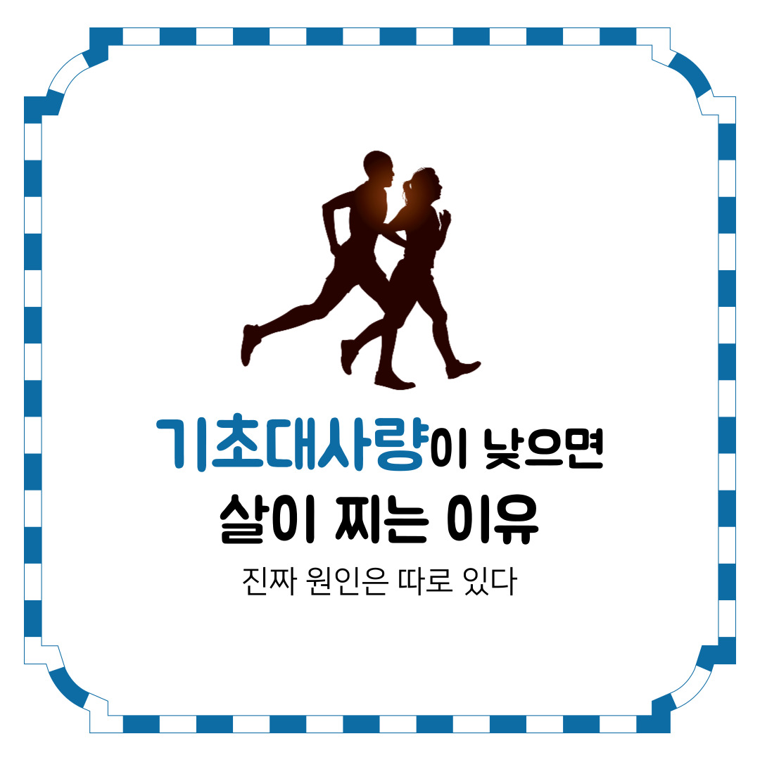 기초대사량이 낮으면 살이 찌는 이유, 진짜 원인은 따로 있다