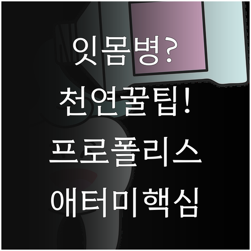 천연 프로폴리스 치약 잇몸 관리 효과..