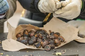 겨울공주_군밤축제