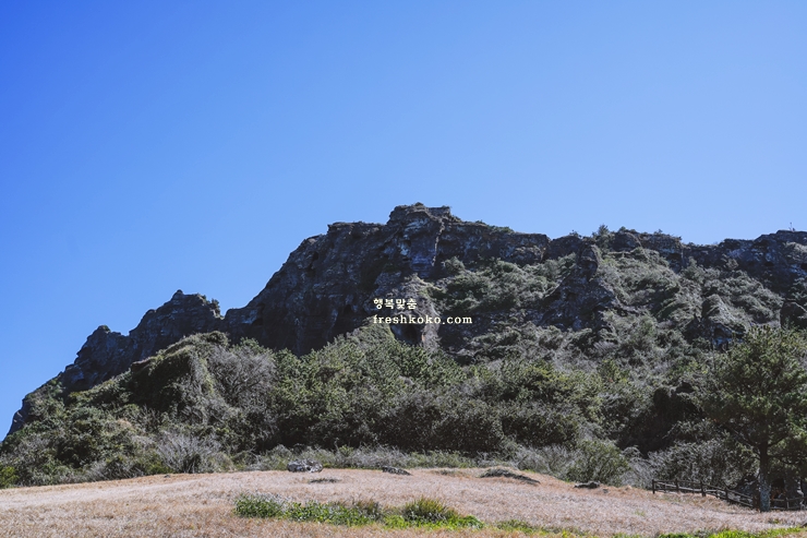 제주도 여행코스 2박 3일