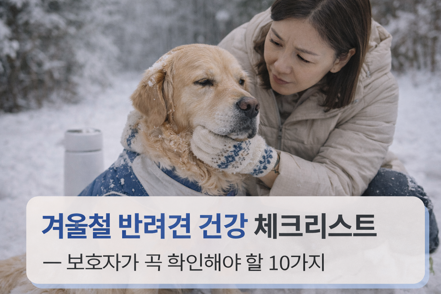 alt="겨울철 산책 후 강아지를 돌보는 보호자 모습"