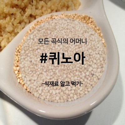 퀴노아