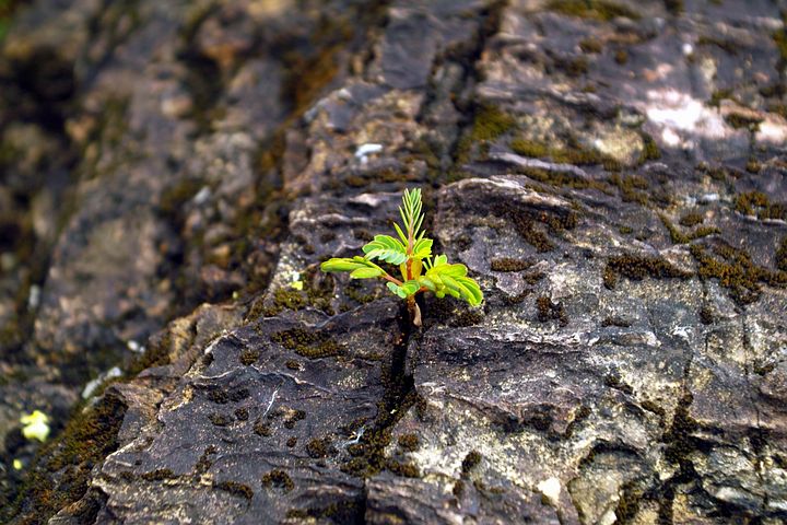 성공한 사람은 끈질기다는 특성