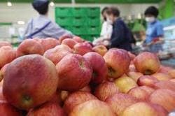 농할상품권 사용처 구매방법 할인 2024