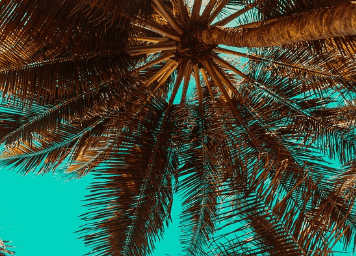 청년 월세 지원 자격