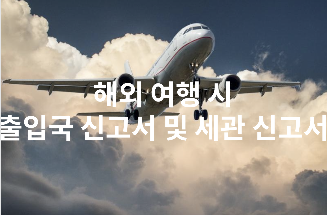 해외 여행 시 출입국 신고서 및 세관 신고서