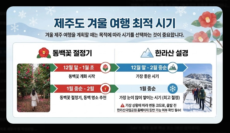 제주도 겨울 여행 3박4일 일정표 완벽 가이드 2026