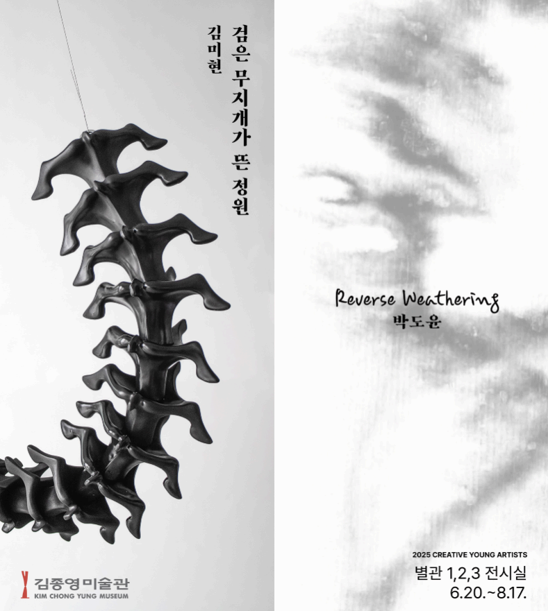 검은 무지개가 뜬 정원!