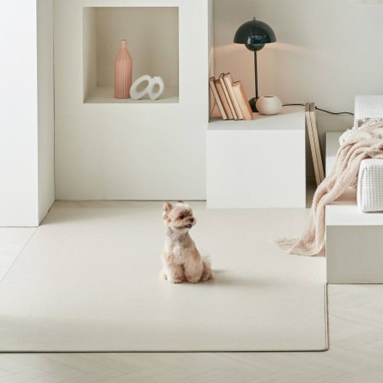 반려인능력시험