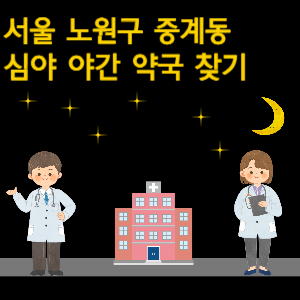 서울 노원구 중계동 심야 야간 24시 약국 찾기