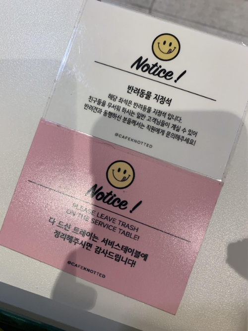 노티드 청담
