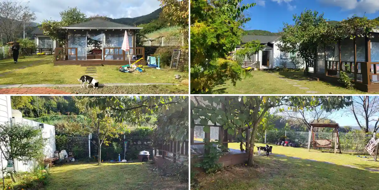 앙꼬 할매집 마당 사진