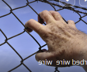 금고형이란