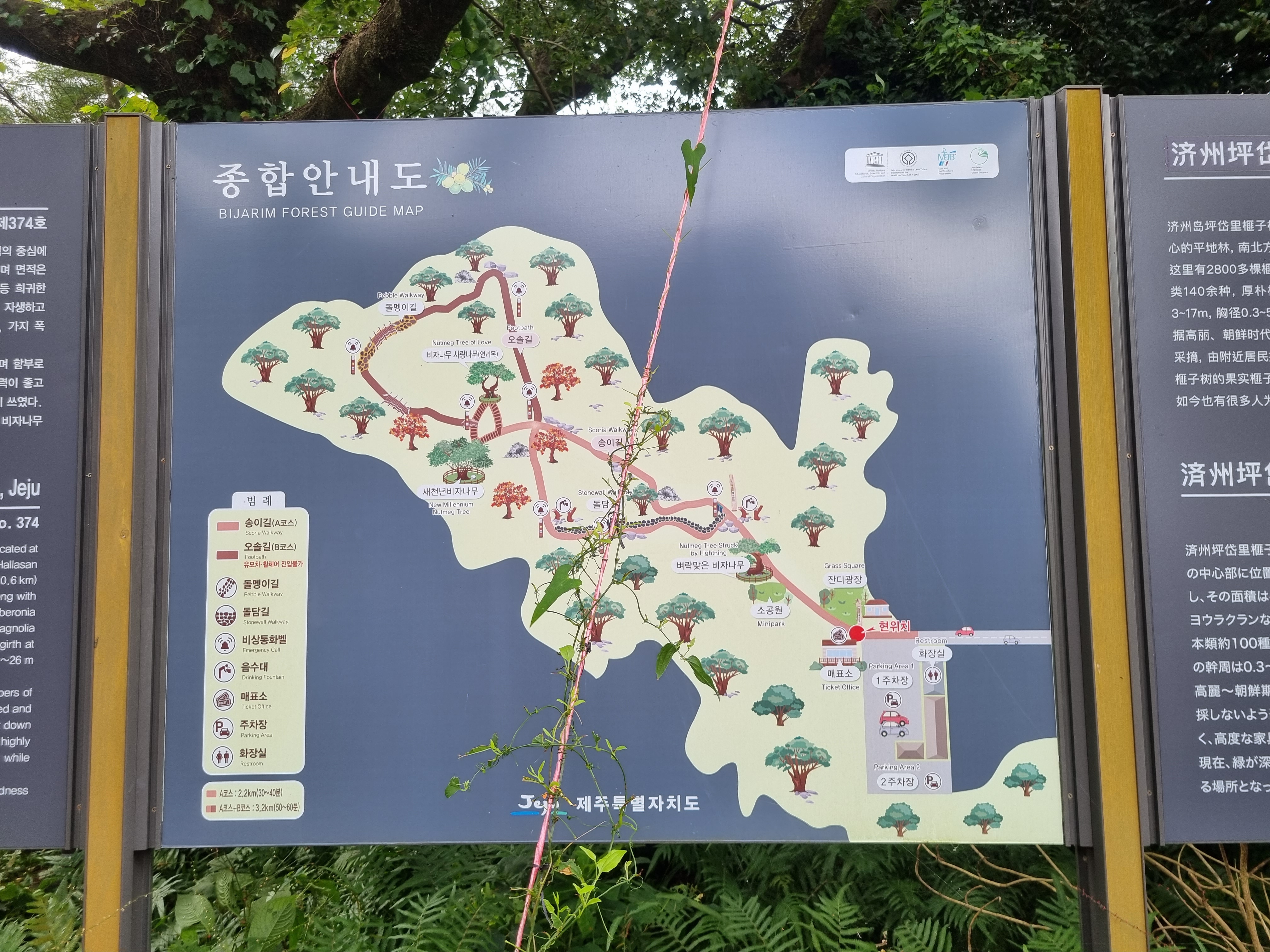 비자림