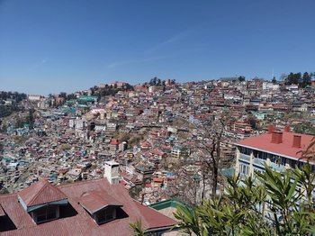 삶은 양배추 효능 BEST 7