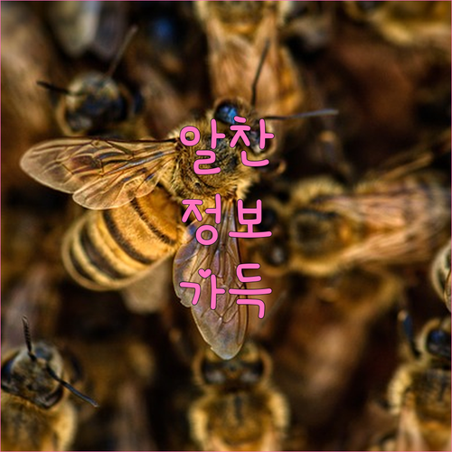 개인회생 재산 목록 작성 시 꼭 알아