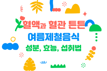 혈액과 혈관 건강에 좋은 여름 제철 식품, 가지, 율무, 강낭콩, 산딸기, 양파