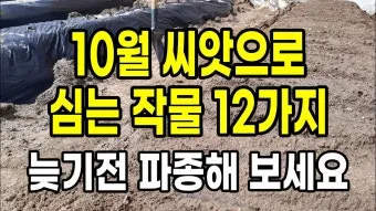 2025년 10월에 파종하기 좋은 작물들 농업 재배법_2