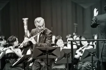 오케스트라를 구성하는 클래식 악기들의 종류와 특징을 정리_16