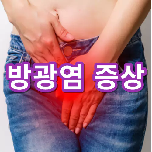 방광염-증상-건강