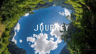 부여 서동연꽃축제 야간 조명, 여름밤을 수놓다