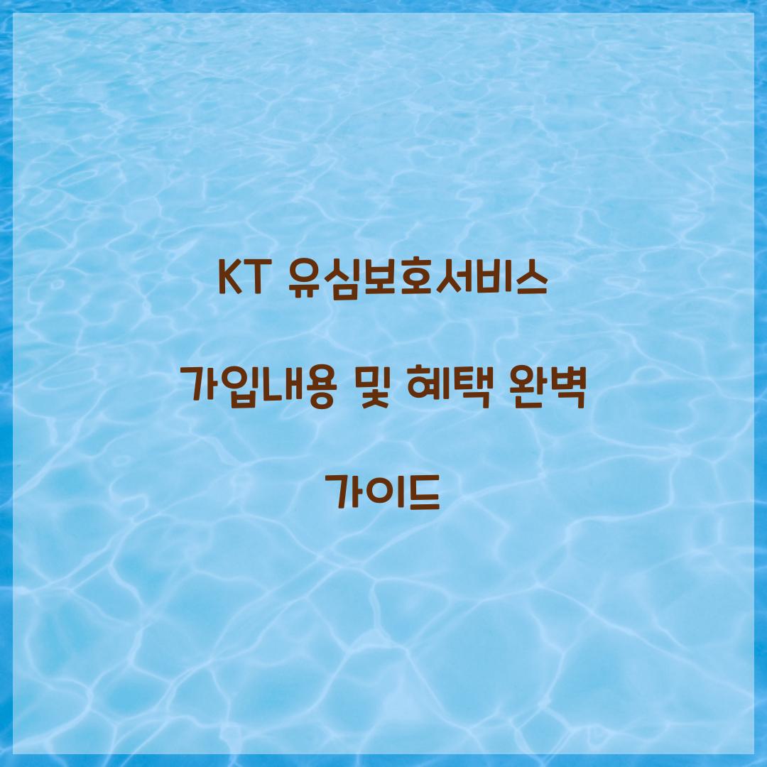 kt 유심보호서비스 가입내용