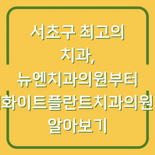 서초구 최고의 치과, 뉴엔치과의원부터 방배화이트플란트치과의원까지 알아보기