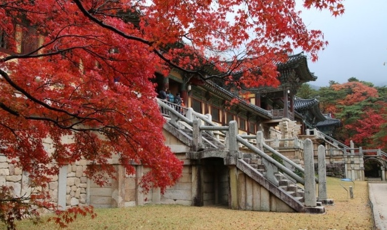 2025 경주 불국사 단풍 절정시기 및 주차, 맛집, 주변명소 사진