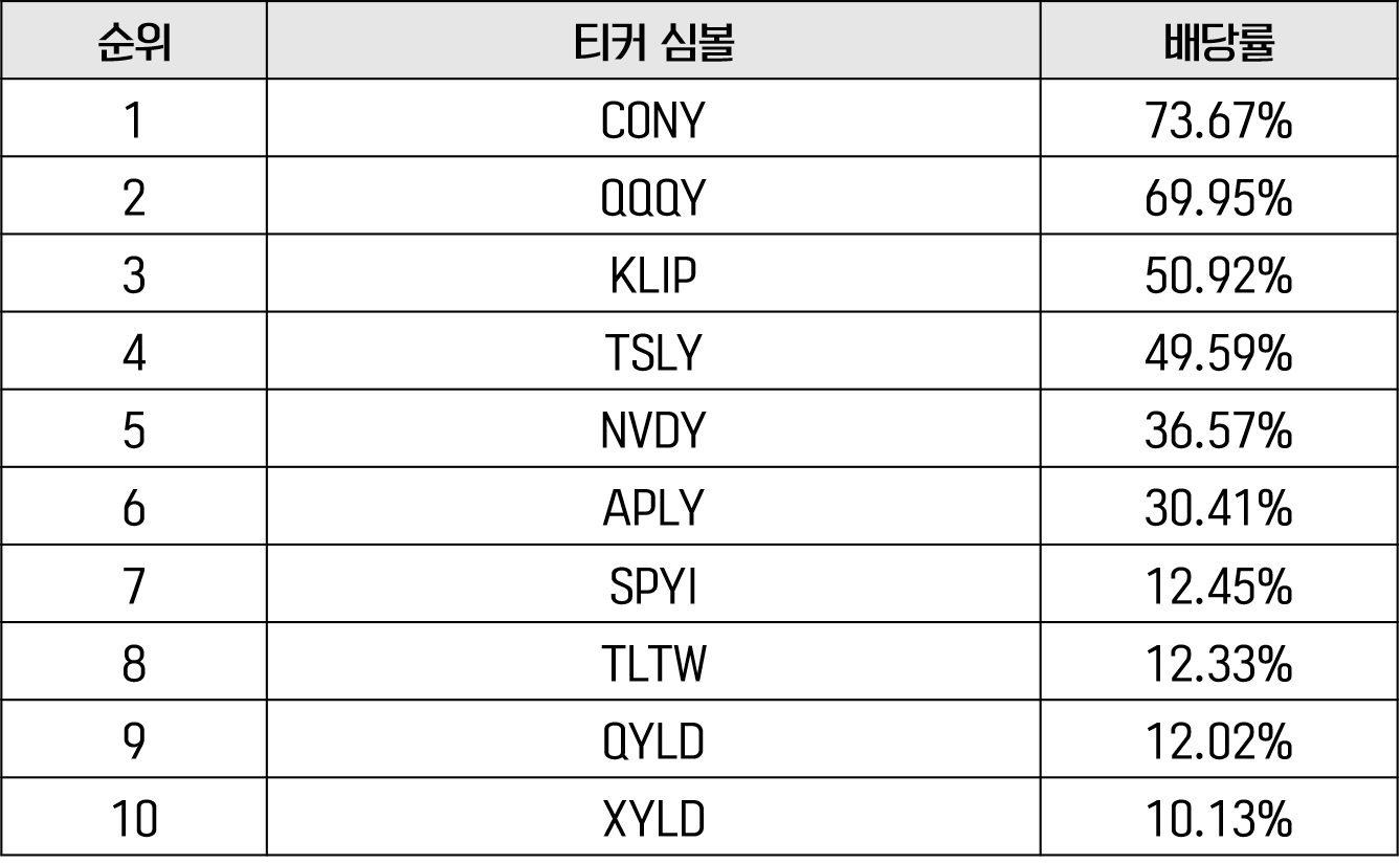 미국 배당주 ETF