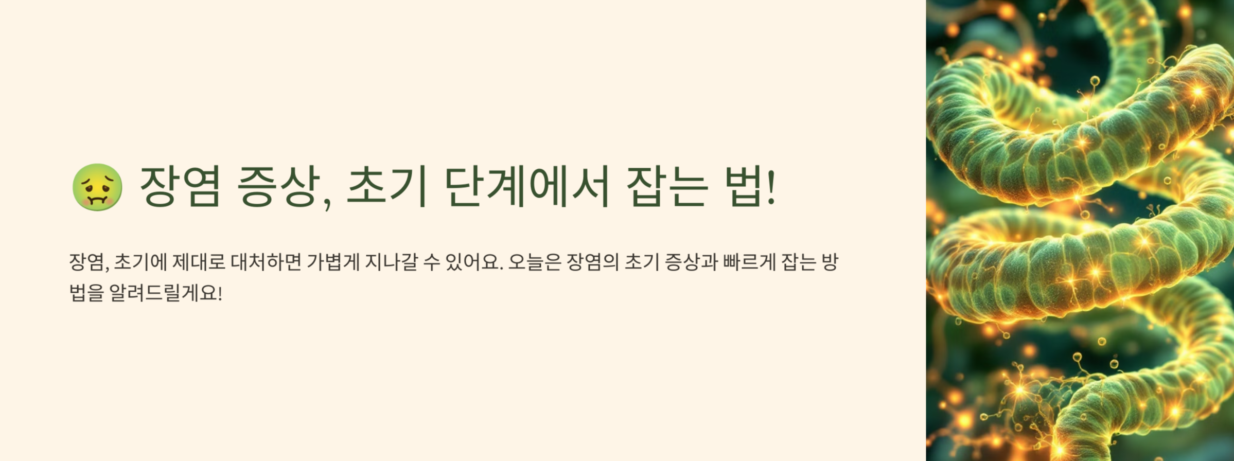 장염 초기 단계 사진