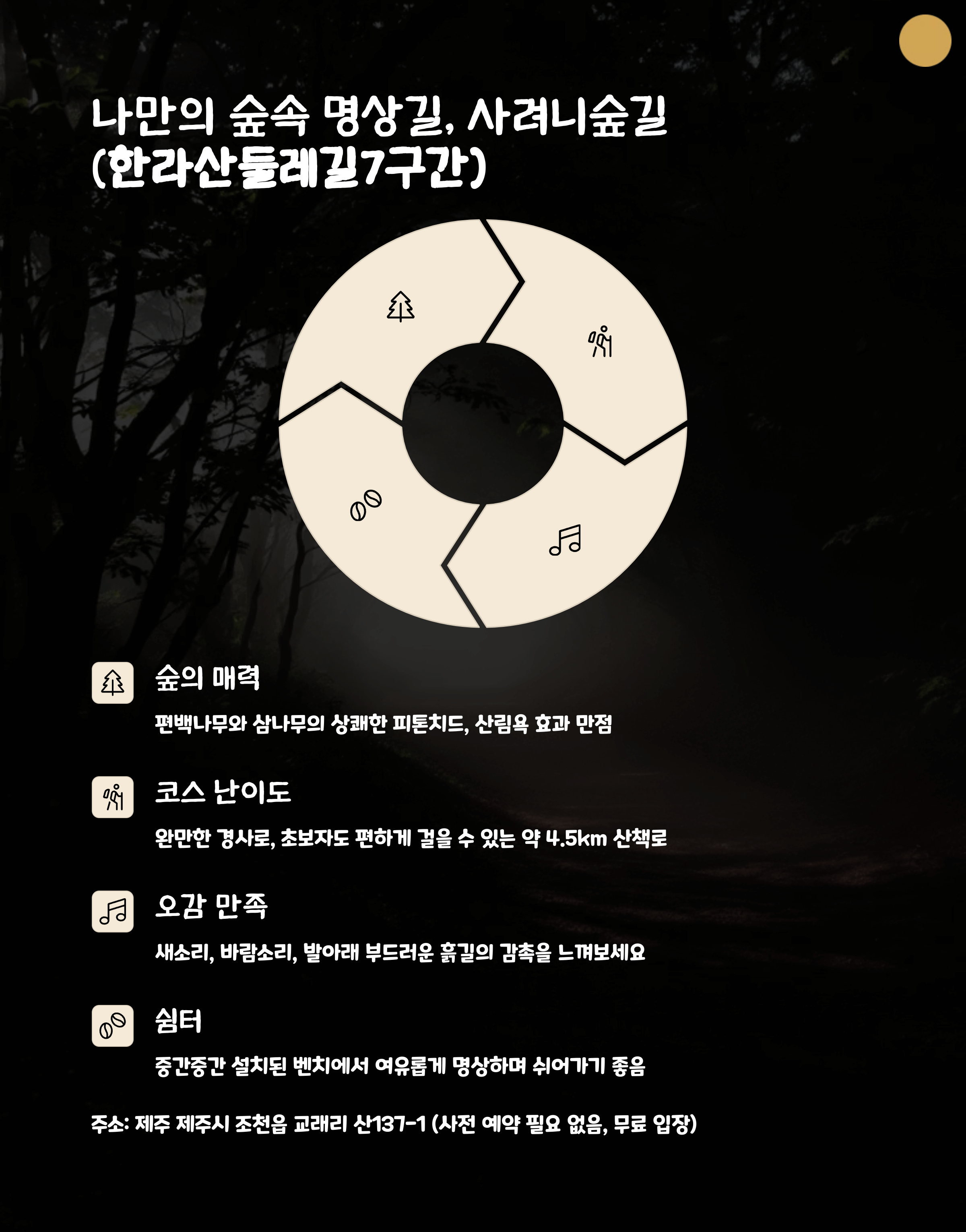 제주 사려니숲길