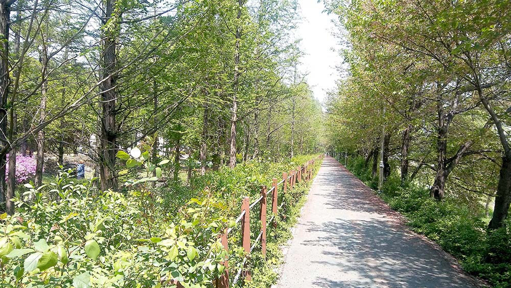 대모산·우면산 : '부모의 마음'